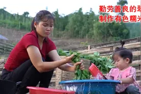 有色糯米饭，有喜欢吃的朋友吗，翠花来教你制作传统有色糯米饭视频封面