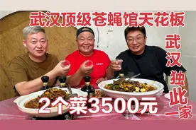 武汉顶级苍蝇馆天花板，2个菜3500元，老板豪言看阿华来让500服视频封面