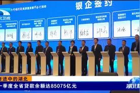 奋进中的湖北丨一季度全省贷款余额达85075亿元视频封面