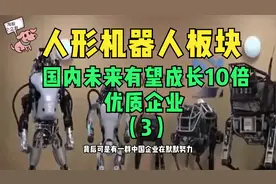 人形机器人国内10大龙头企业介绍，未来有望10倍成长的优质企业。视频封面