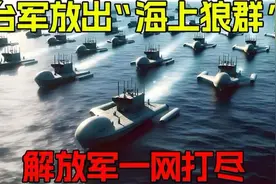 台放出“海上狼群” ，解放军一网打尽（下）视频封面