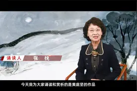 未来讲堂丨黄庭坚《念奴娇（断虹霁雨）》视频封面