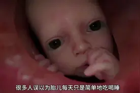 你知道胎儿每天在妈妈肚子里做些什么吗？#科普#涨知识视频封面