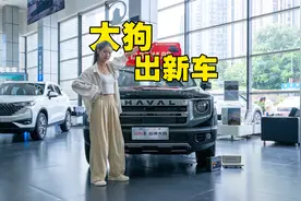 2.0T车型功率提升配9DCT，哈弗大狗更野了视频封面
