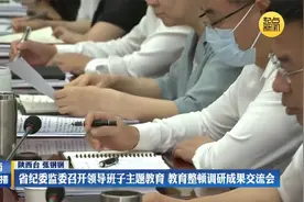 省纪委监委召开领导班子主题教育 教育整顿调研成果交流会视频封面