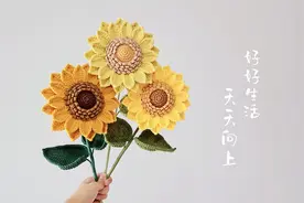 钩针太阳花：向日葵用青春守候的距离，是1.5亿公里视频封面