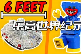 豪到没朋友！乐高最大作品吉尼斯世界纪录视频封面