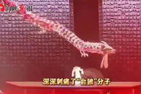 台湾学者：敢在台湾高唱“我们都是中国人”，刘德华是真男人！视频封面