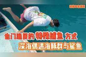 也门渔民的特殊捕鱼方式，深海偶遇海豚群与鲨鱼