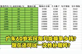 广东60岁农民每月能领多少钱？现在还可以一次性补缴吗？视频封面