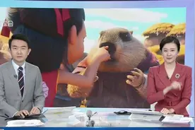 网友学哪吒收土拨鼠火了！笑死。视频封面
