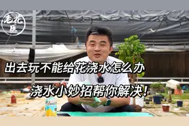 出去玩不能给花浇水怎么办？浇水小妙招帮你解决！