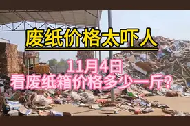 废纸价格太吓人，11月4日，看废纸箱价格多少一斤？视频封面