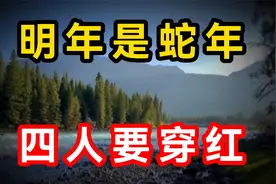 明年是蛇年，老人说“青蛇双春闰六月，4人要穿红，到底是哪4人视频封面