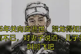46年关向应逝世，贺龙得知悲痛不已，对妻子说道：儿子就叫鹏飞吧视频封面