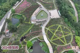 5月3日 2024自贡玫瑰海视频封面