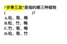 “岁寒三友”指的是哪三种植物？视频封面