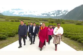 班禅额尔德尼·确吉杰布在林芝开展考察调研和佛事活动视频封面