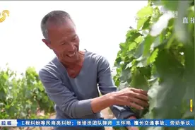 东营：盐碱地上种葡萄，“不毛之地”变致富田视频封面