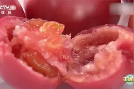 西红柿熟吃比生吃更好吗？视频封面