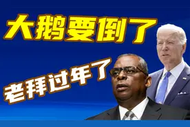 搞笑配音：大鹅与种花家出现裂缝，大鹅要倒了？老拜终于过年了！视频封面