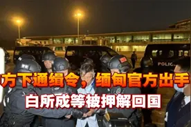 中方下通缉令，缅甸官方出手，四大家族覆灭，白所成等被押解回国视频封面