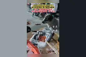 男子夜晚吃烧烤遇见流浪狗，给它吃羊肉串，狗子居然会撸串。（来源：@没事多读书）（F）视频封面