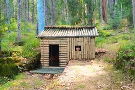 农村牛人大姐大，荒山野岭也能建造出小竹屋，遮风挡雨完全没问题