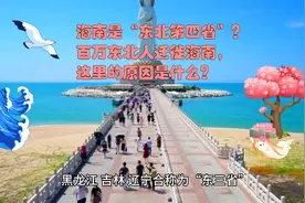 海南是“东北第四省”？百万东北人迁徙海南，这里的原因是什么？视频封面