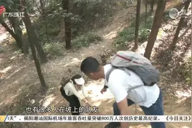 爬山遇险坡 救援队长教你巧用绳索保安全视频封面