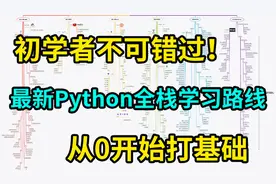 python简介（新手必看）视频封面
