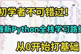 python简介（新手必看）视频封面