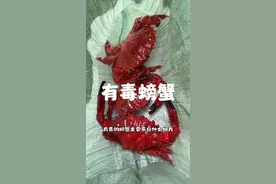 有毒螃蟹有哪些特征？ #华哥说海鲜 