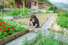 农村大姐太牛了，自己动手搭建菜园柴火仓库，分钱不花建造出奢华视频封面