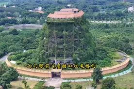 世界上最大的金钱龟养殖基地，最贵的一只金钱龟就高达250万视频封面