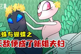 蝴蝶翅膀折断无法飞行，蜘蛛用丝将其修复，最终日久深情诞下后代视频封面
