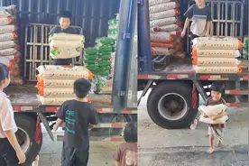 四个孩子帮爸爸卸大米，动作娴熟配合默契”最小的孩子3岁“视频封面