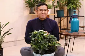 栀子花怎么养？园艺师教你，栀子花的详细养护技巧视频封面