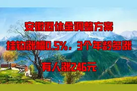 安徽退休金调整方案，挂钩涨幅0.5%，3个年龄多涨，有人涨246元视频封面