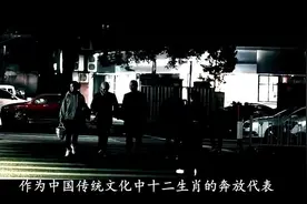 生肖马：和这3属相做夫妻，前世债今生还，苦命属相马的命运！视频封面