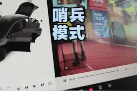 北美特斯拉哨兵模式下，画面比拍电影还刺激视频封面