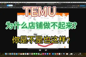 TEMU为什么销量低、赚不到钱？