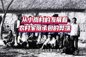 从小岗村发展看农村家庭承包制的弊端视频封面