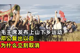 毛主席发布上山下乡运动，邓公复出以后，为什么立刻取消视频封面