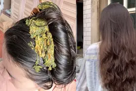 主打纯天然！女子用凤仙花染头发视觉效果炸裂视频封面