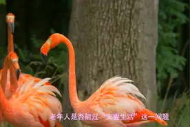 老年人能过“夫妻生活”吗？注意好4点，或有助身体健康视频封面