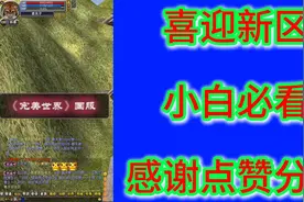 小白必看 #完美世界 #完美世界经典服 #端游  #新区视频封面