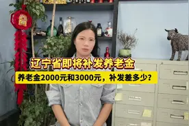 辽宁省即将补发养老金，养老金2000元和3000元，补发差多少？视频封面