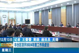 丰台区召开2024年度工作务虚会视频封面