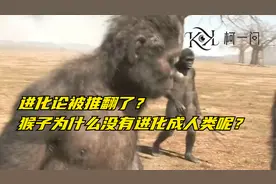 进化论被推翻了？猴子为什么没有进化成人类呢？视频封面